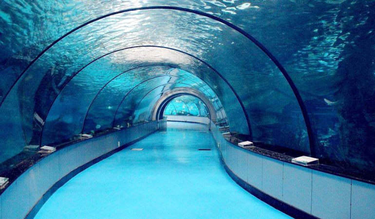 Construction d'aquarium en verre acrylique Plexiglas®Ds® Dimensions spéciales aquarium sur mesure aquarium XXL et grands aquariums 770X450 1