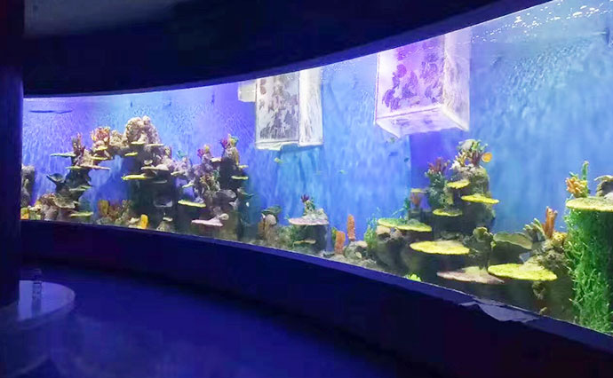Construction d'aquarium plexiglas aquarium en verre acrylique