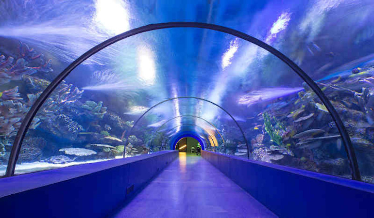 Proizvodnja PLEXIGLAS®, DS® akrilnih staklenih akvarija, također XL, XXL velikih akvarija