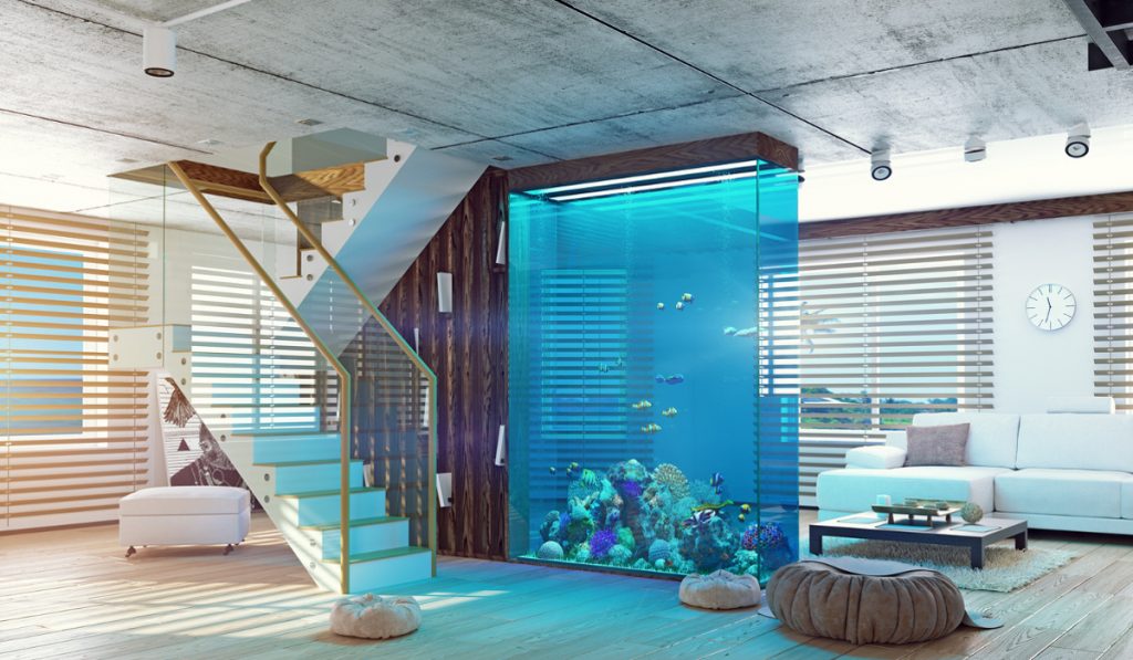 Plexiglas® Aquarium Ds aquariums en verre acrylique