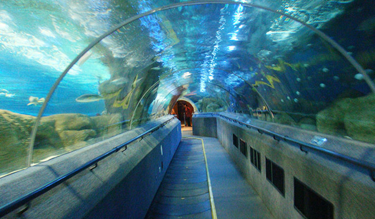 Fabrikant beschwéiert Aquarium Tunnel