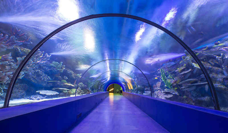 Tunelul acvariului