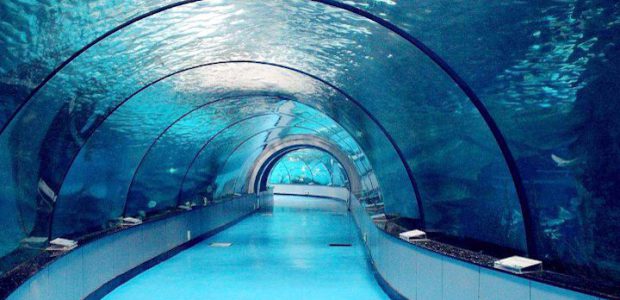 Akvarij podvodni tunel DS GmbH 720x450