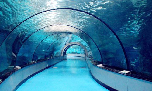 Aquarien Unterwasser Tunnel Ds Gmbh