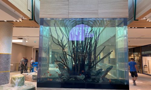 Riesen Aquarium Däitschland