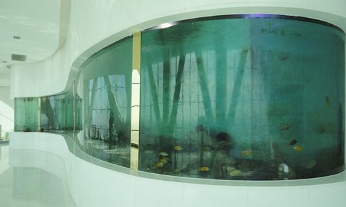 Fabrikant XXL en gigantische aquaria