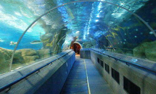 Hersteller Aquarium Tunnel