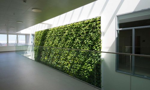 Yeşil duvar iç tasarımın önemli bir parçası