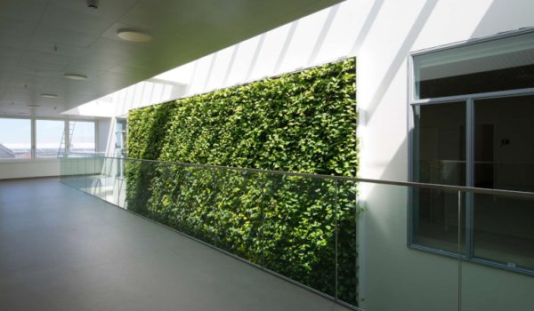 Parte importante da parede verde do design de interiores