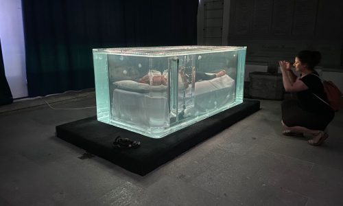 Akvarij za meduze