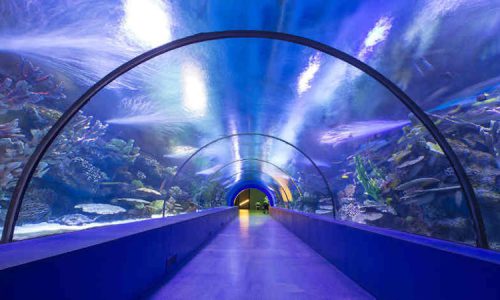 aquarium tunnels